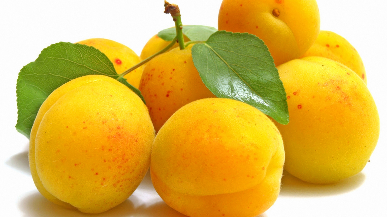 Delicious Apricots for 1536 x 864 HDTV resolution