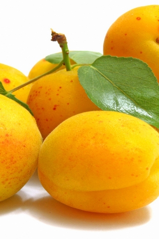 Delicious Apricots for 320 x 480 iPhone resolution