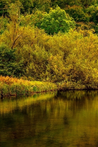 Derbyshire Park Landscape for 320 x 480 iPhone resolution