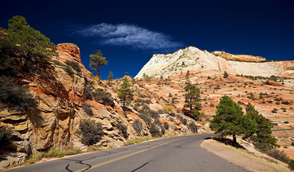 Desert Road for 1024 x 600 widescreen resolution