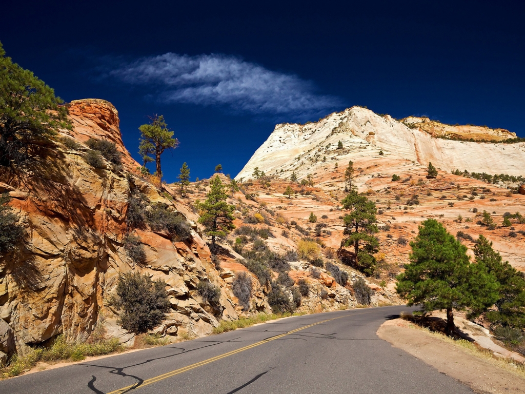 Desert Road for 1024 x 768 resolution