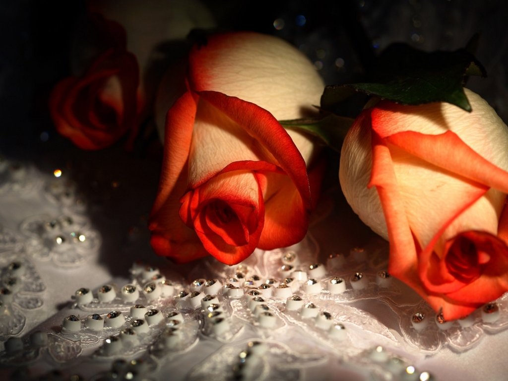Diamonds and Roses for 1024 x 768 resolution