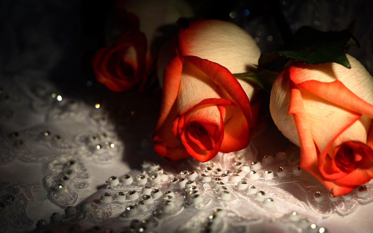 Diamonds and Roses for 1280 x 800 widescreen resolution