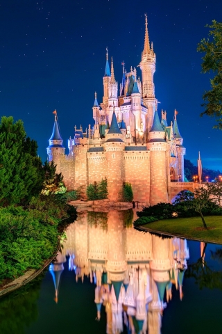 Disneyland Cinderella Castle for 320 x 480 iPhone resolution