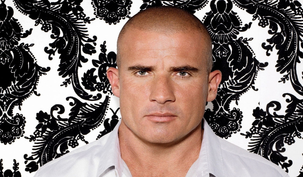 Dominic Purcell for 1024 x 600 widescreen resolution