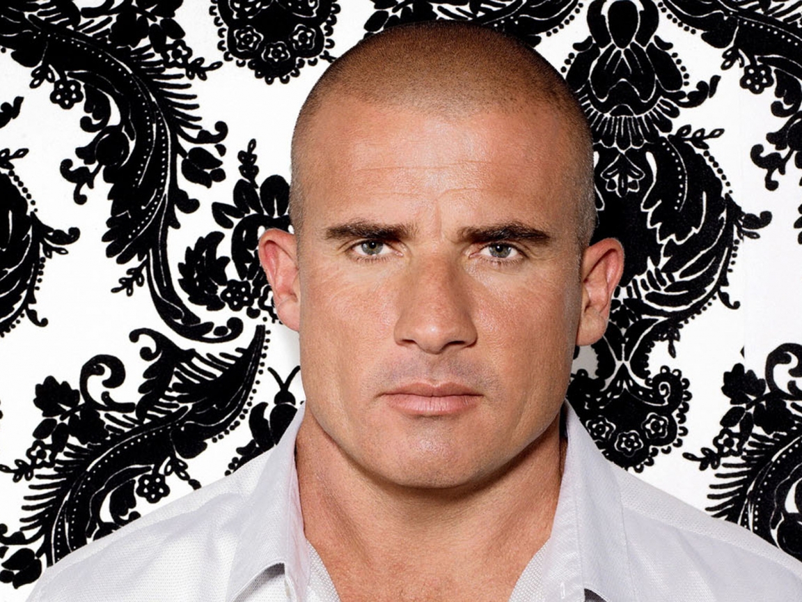 Dominic Purcell for 1152 x 864 resolution