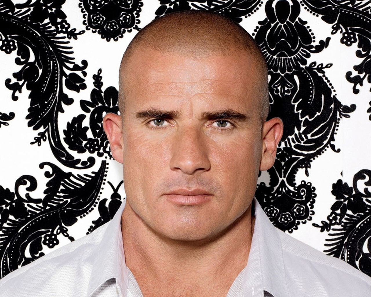 Dominic Purcell for 1280 x 1024 resolution