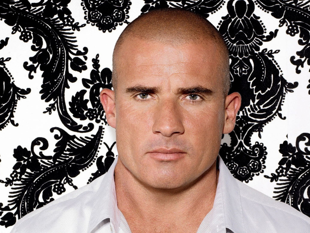 Dominic Purcell for 1280 x 960 resolution