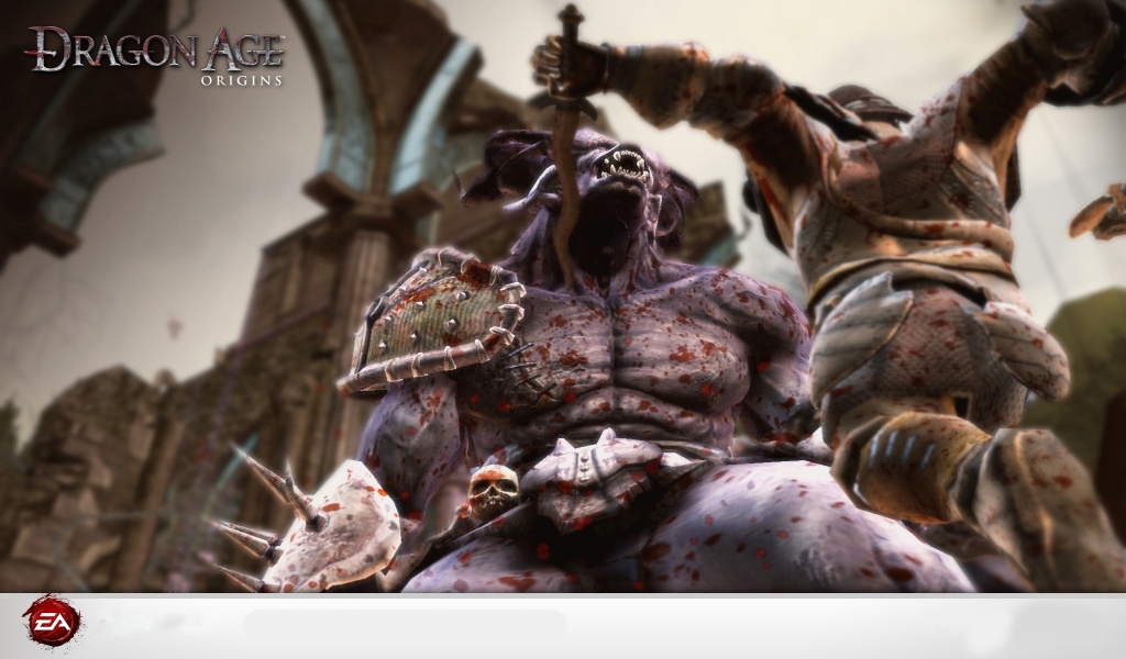 Dragon Age Origins for 1024 x 600 widescreen resolution