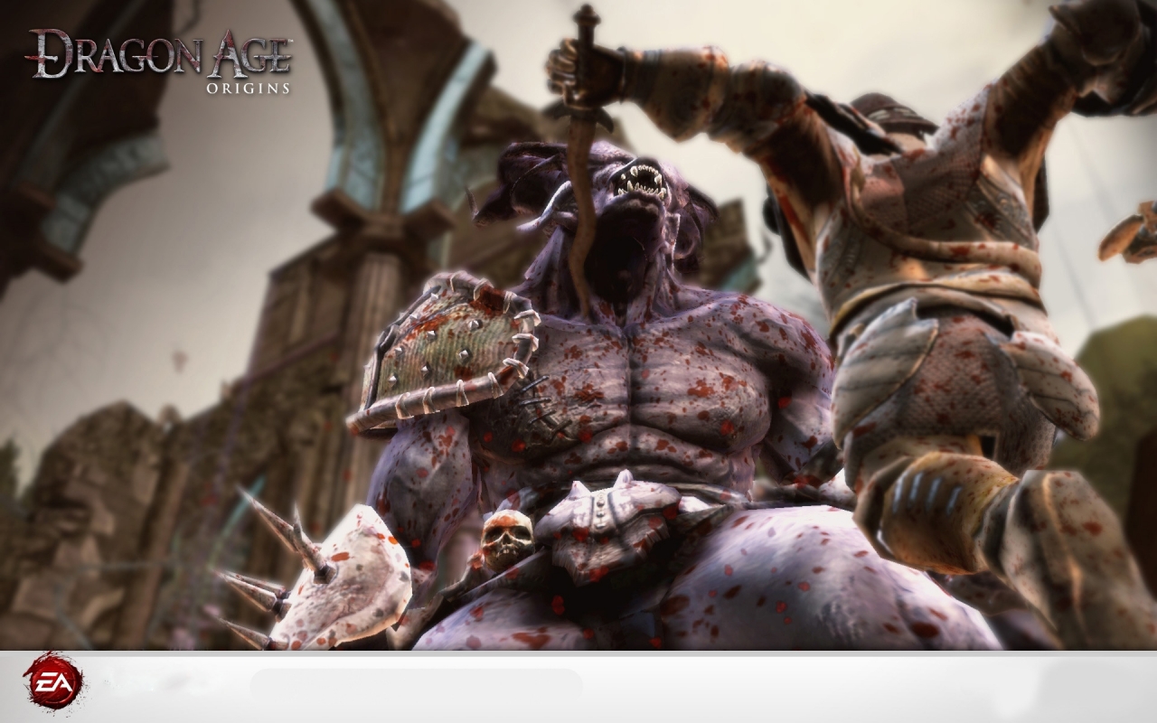 Dragon Age Origins for 1280 x 800 widescreen resolution