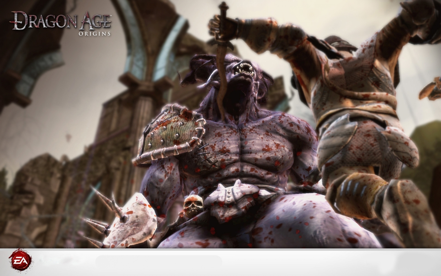 Dragon Age Origins for 1440 x 900 widescreen resolution