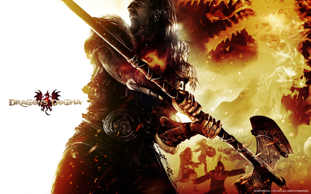 Dragons Dogma Warrior for 1280 x 800 widescreen resolution