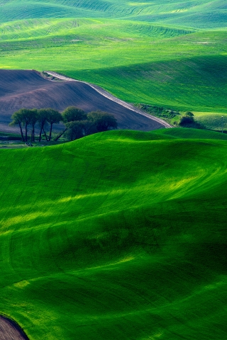 Dreamy Green Fields for 320 x 480 iPhone resolution