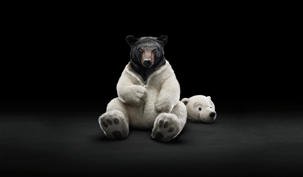Dressed Bear for 1024 x 600 widescreen resolution