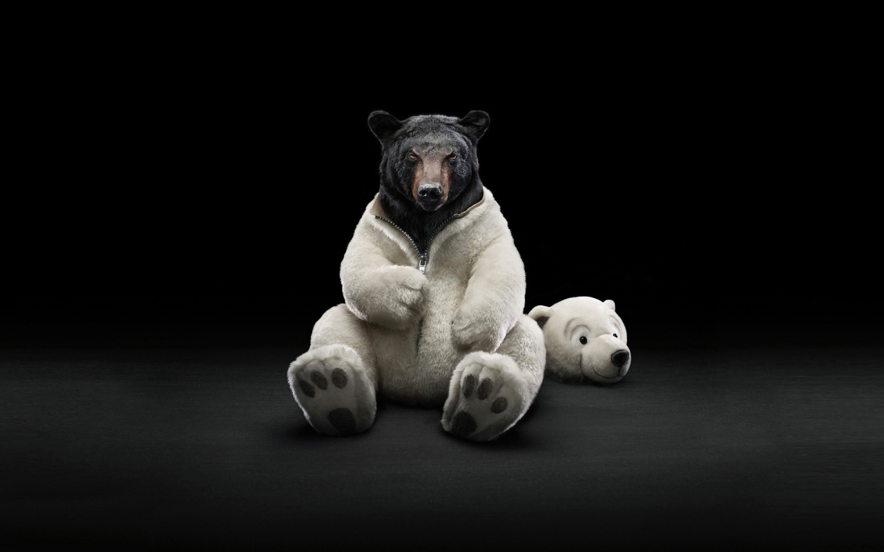 Dressed Bear for 1280 x 800 widescreen resolution