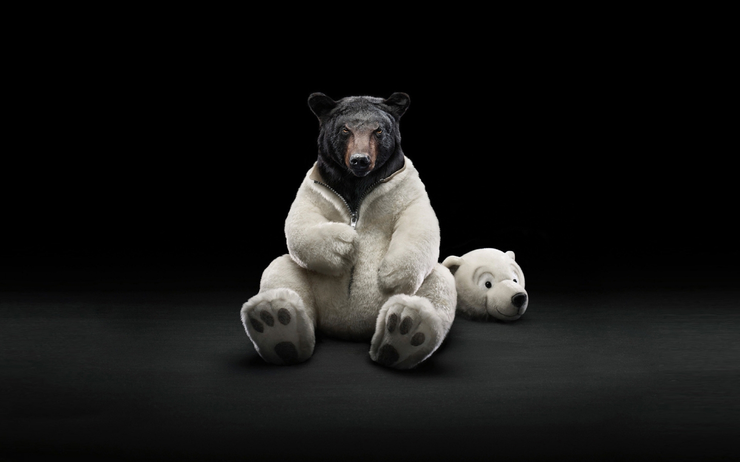 Dressed Bear for 1440 x 900 widescreen resolution