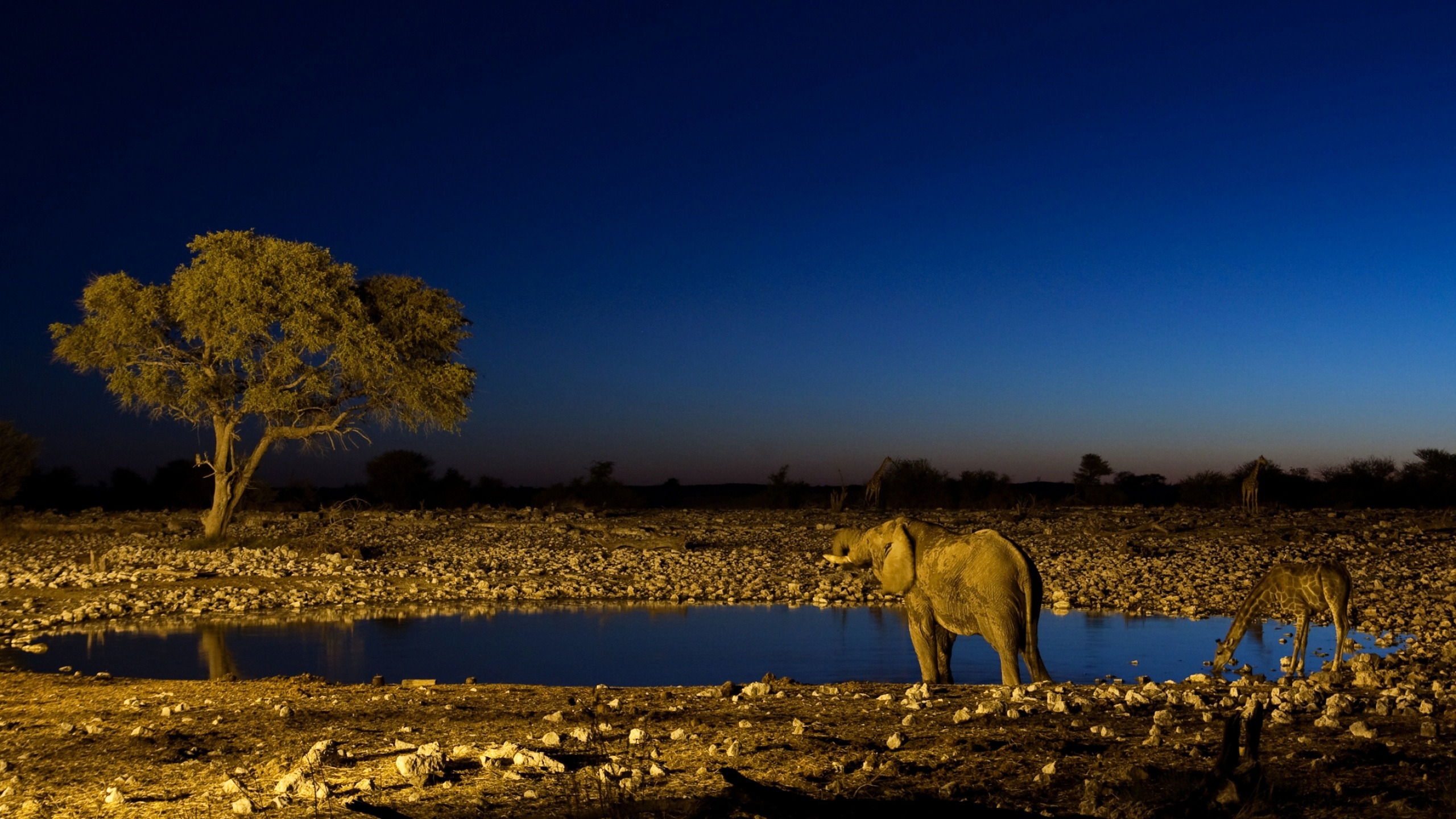 Drinking Water for 2560x1440 HDTV resolution