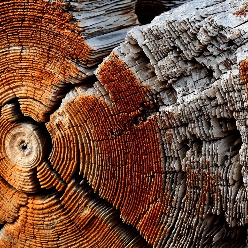 Dry Wood Texture for 1024 x 1024 iPad resolution