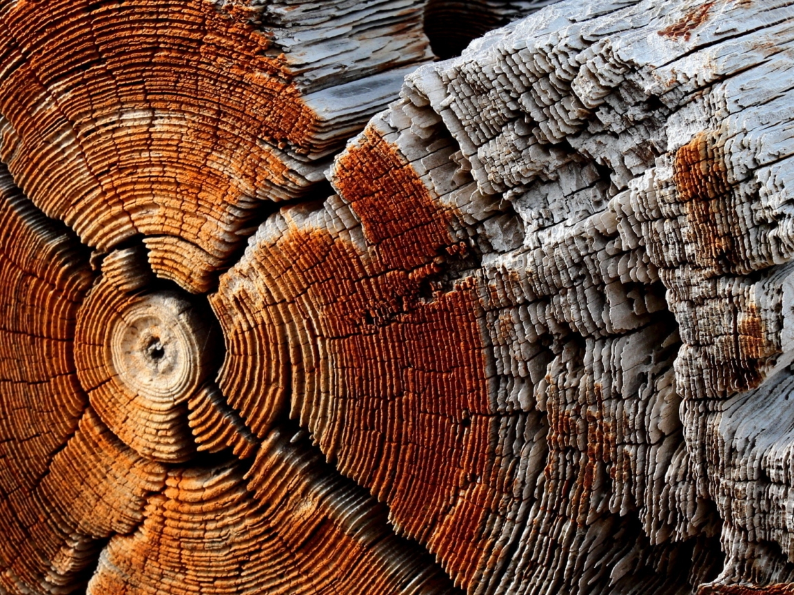 Dry Wood Texture for 1152 x 864 resolution