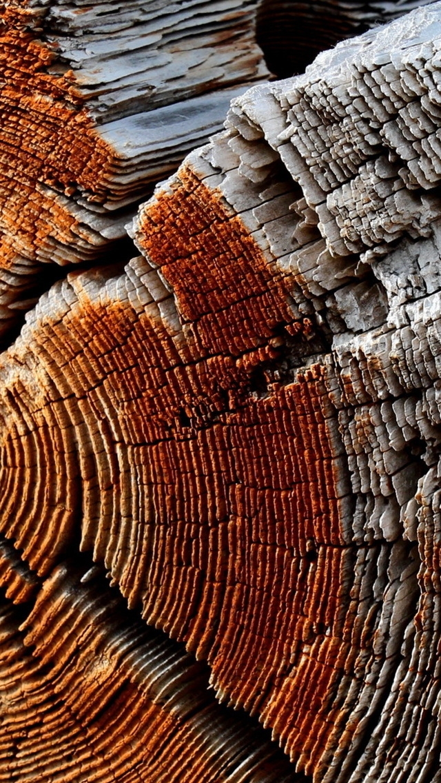 Dry Wood Texture for 640 x 1136 iPhone 5 resolution