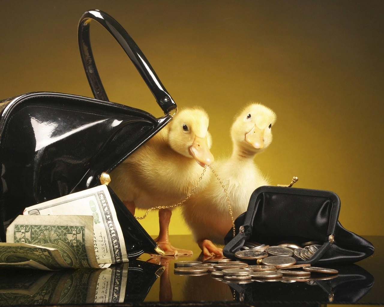 Ducklings with purse and money for 1280 x 1024 resolution