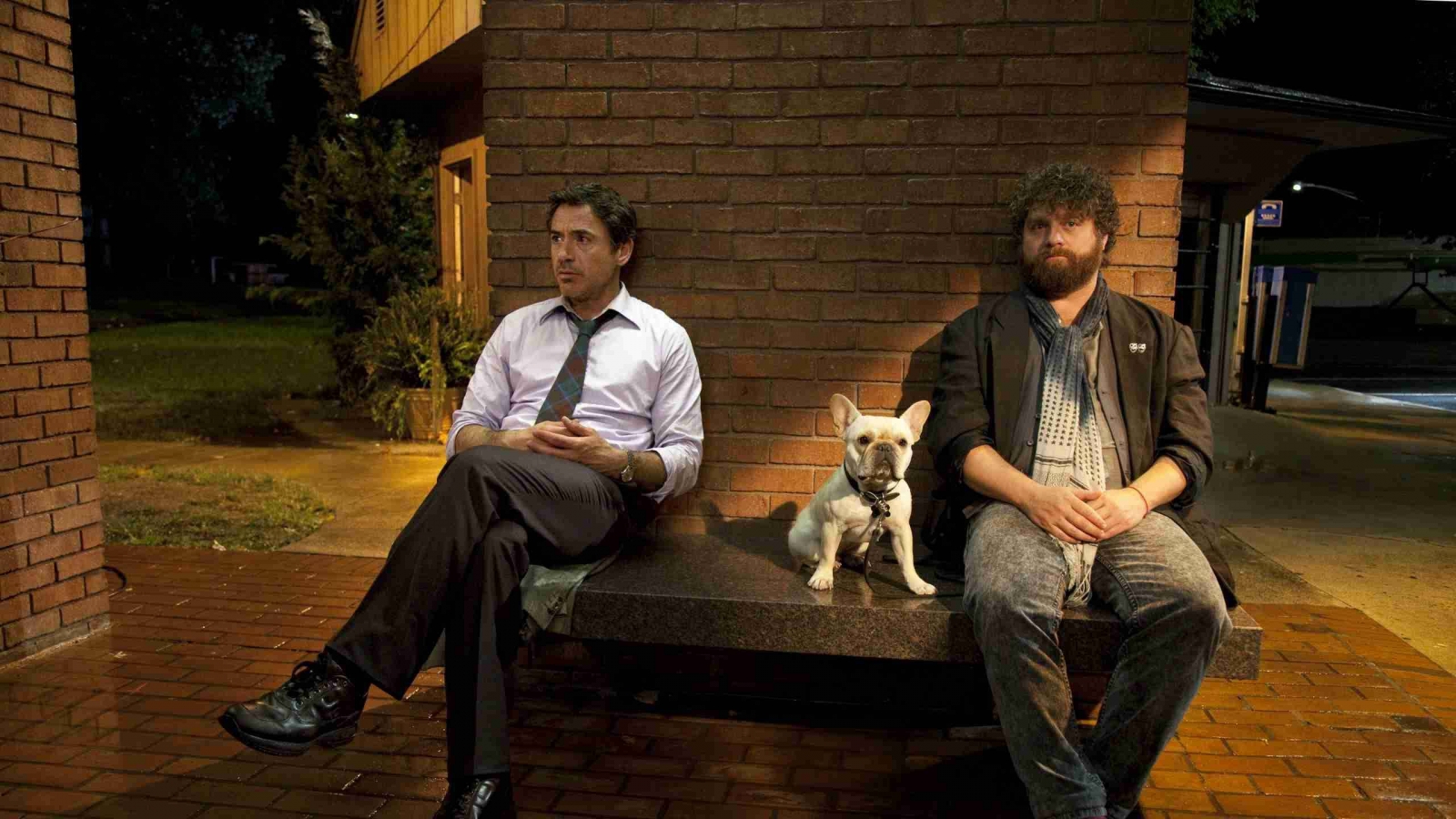 Due Date Actors for 1600 x 900 HDTV resolution