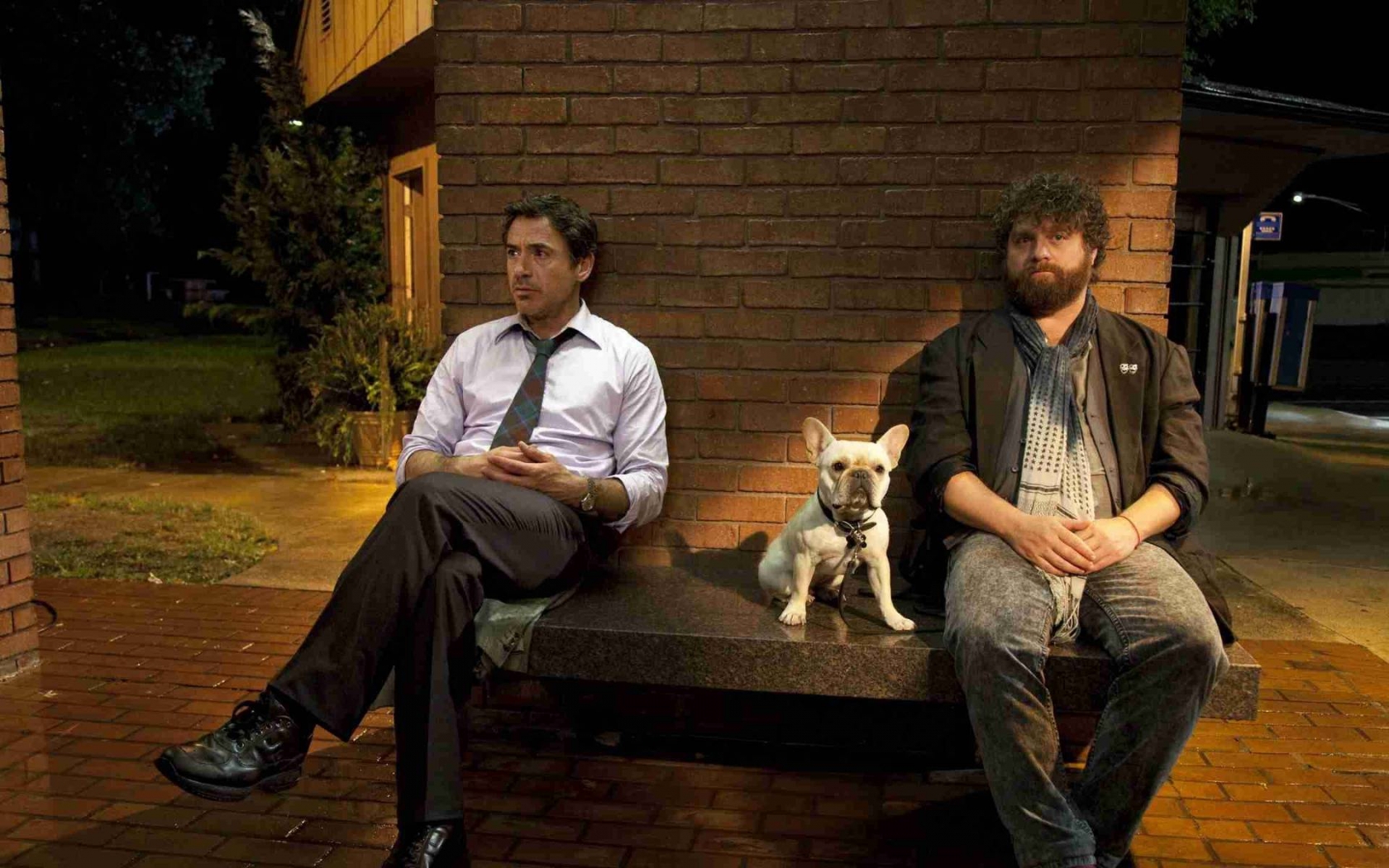 Due Date Actors for 1680 x 1050 widescreen resolution