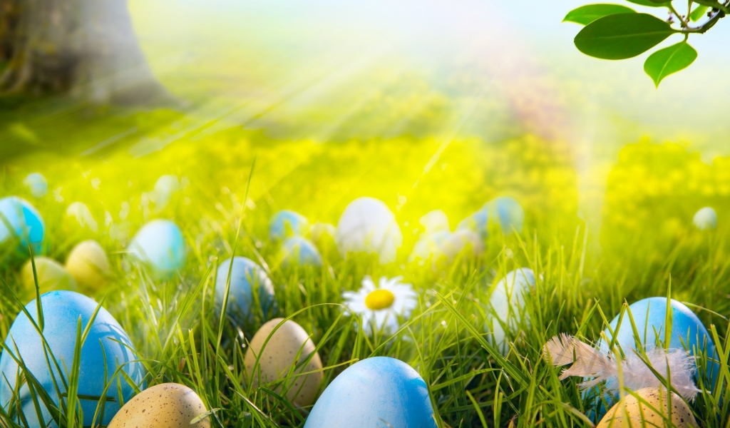 Easter Eggs Field for 1024 x 600 widescreen resolution