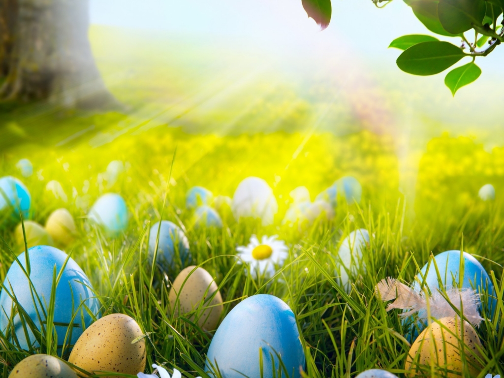 Easter Eggs Field for 1024 x 768 resolution