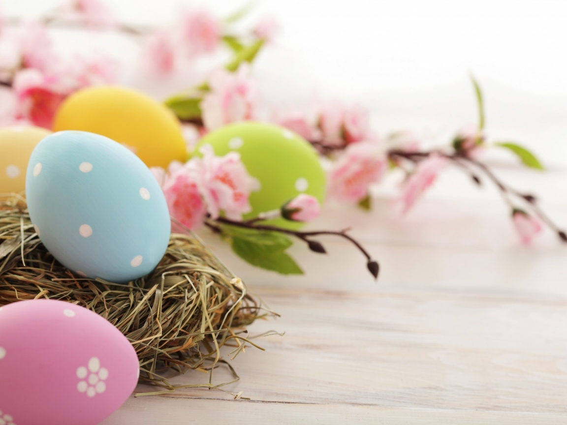 Easter Time Eggs for 1152 x 864 resolution
