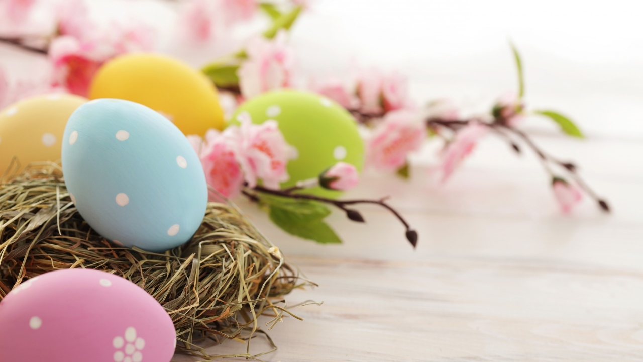Easter Time Eggs for 1280 x 720 HDTV 720p resolution