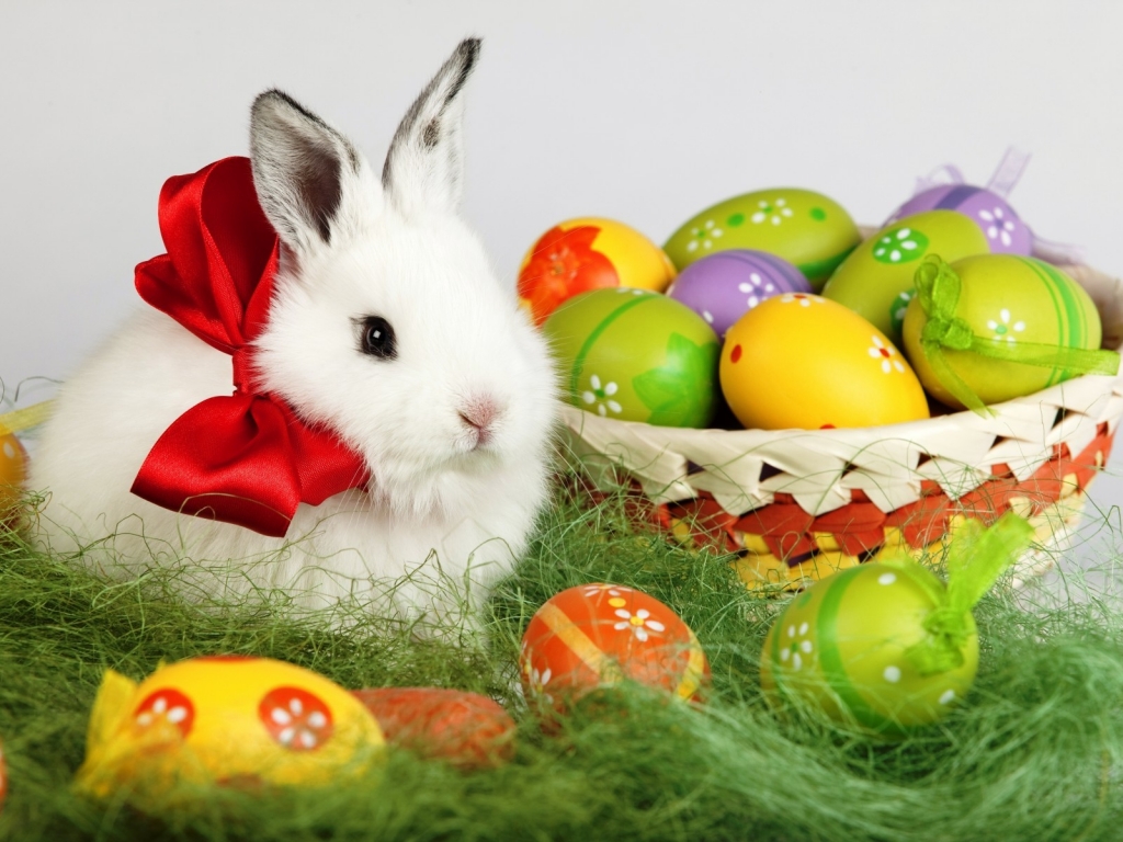 Easter White Rabbit for 1024 x 768 resolution
