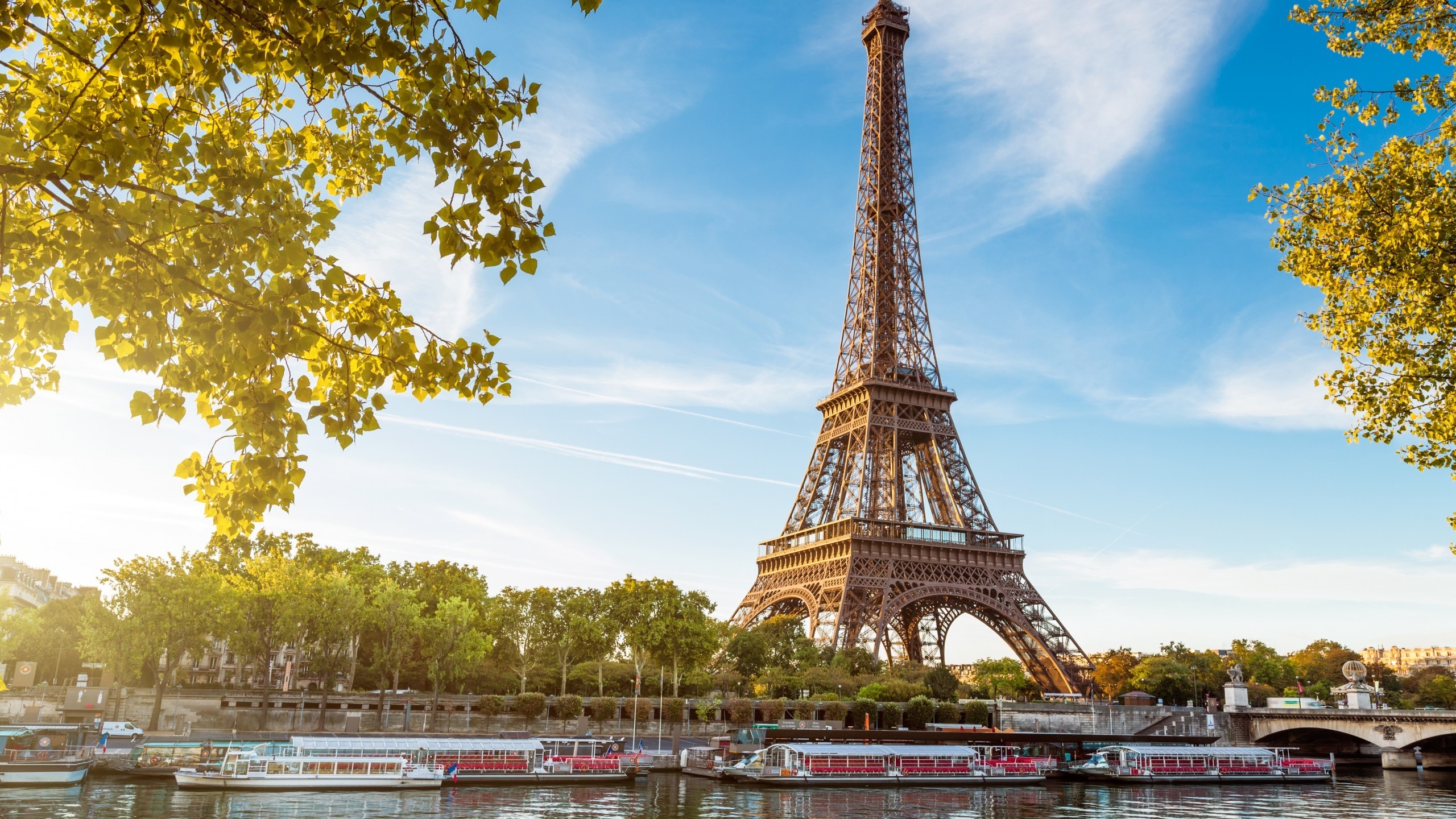 Eiffel Tower Landscape for 2560x1440 HDTV resolution