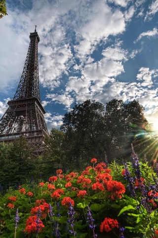 Eiffel Tower Surrounded by Flowers for 320 x 480 iPhone resolution