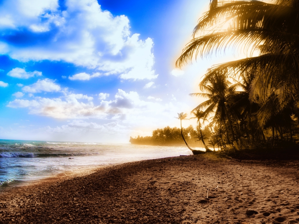 Exotic beach for 1024 x 768 resolution