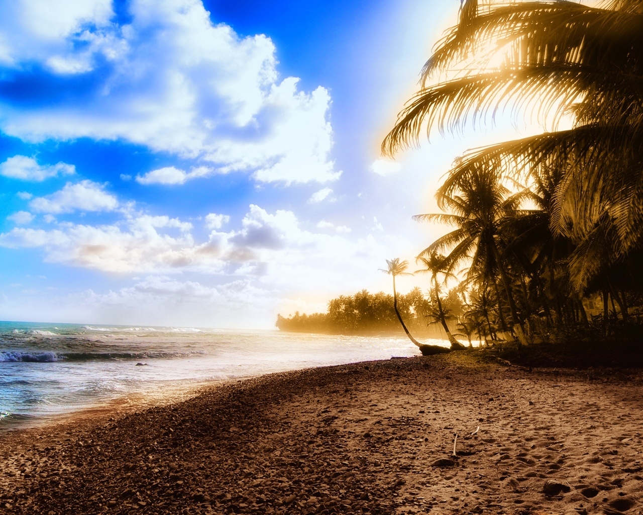 Exotic beach for 1280 x 1024 resolution