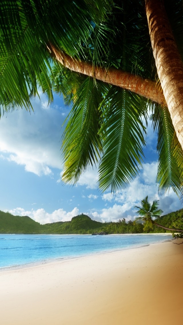 Exotic Palm Island 640 x 1136 iPhone 5 Wallpaper