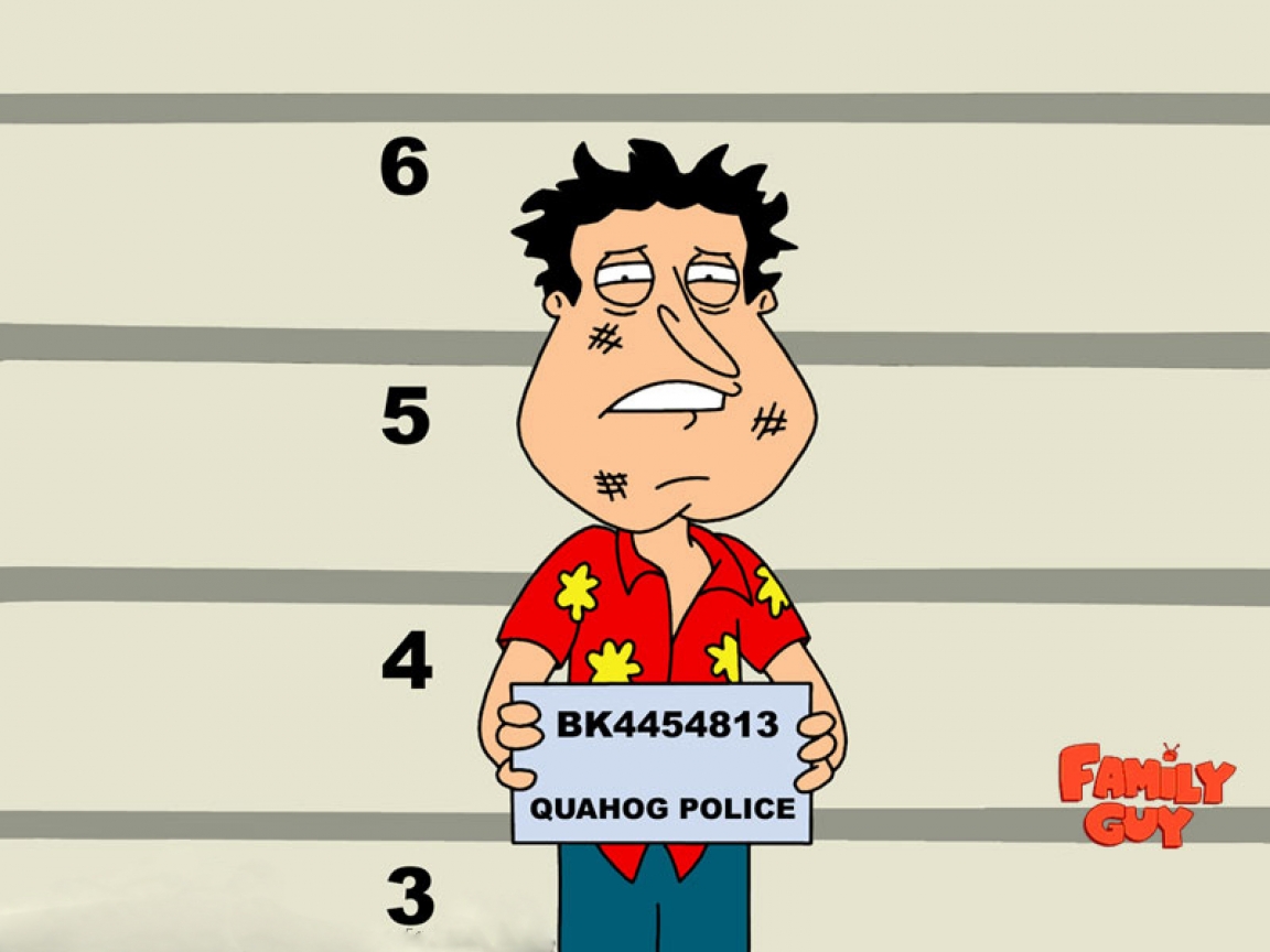 Family Guy Quagmire for 1152 x 864 resolution