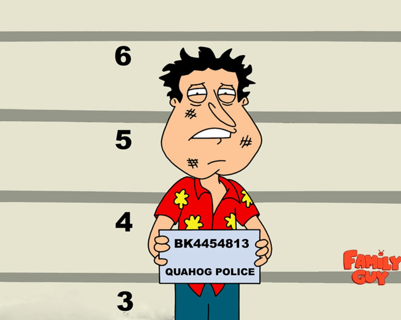Family Guy Quagmire for 1280 x 1024 resolution