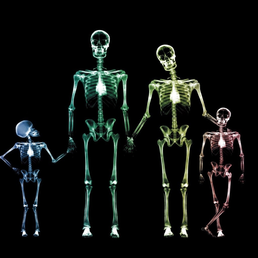 Family Skeletons for 1024 x 1024 iPad resolution