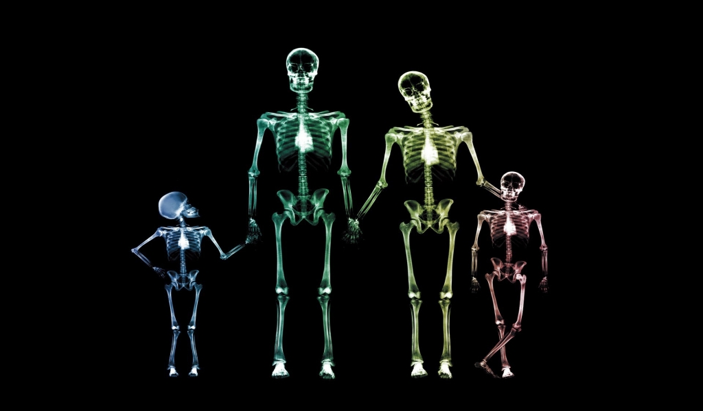 Family Skeletons for 1024 x 600 widescreen resolution