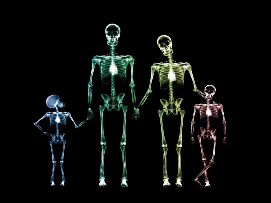 Family Skeletons for 1024 x 768 resolution