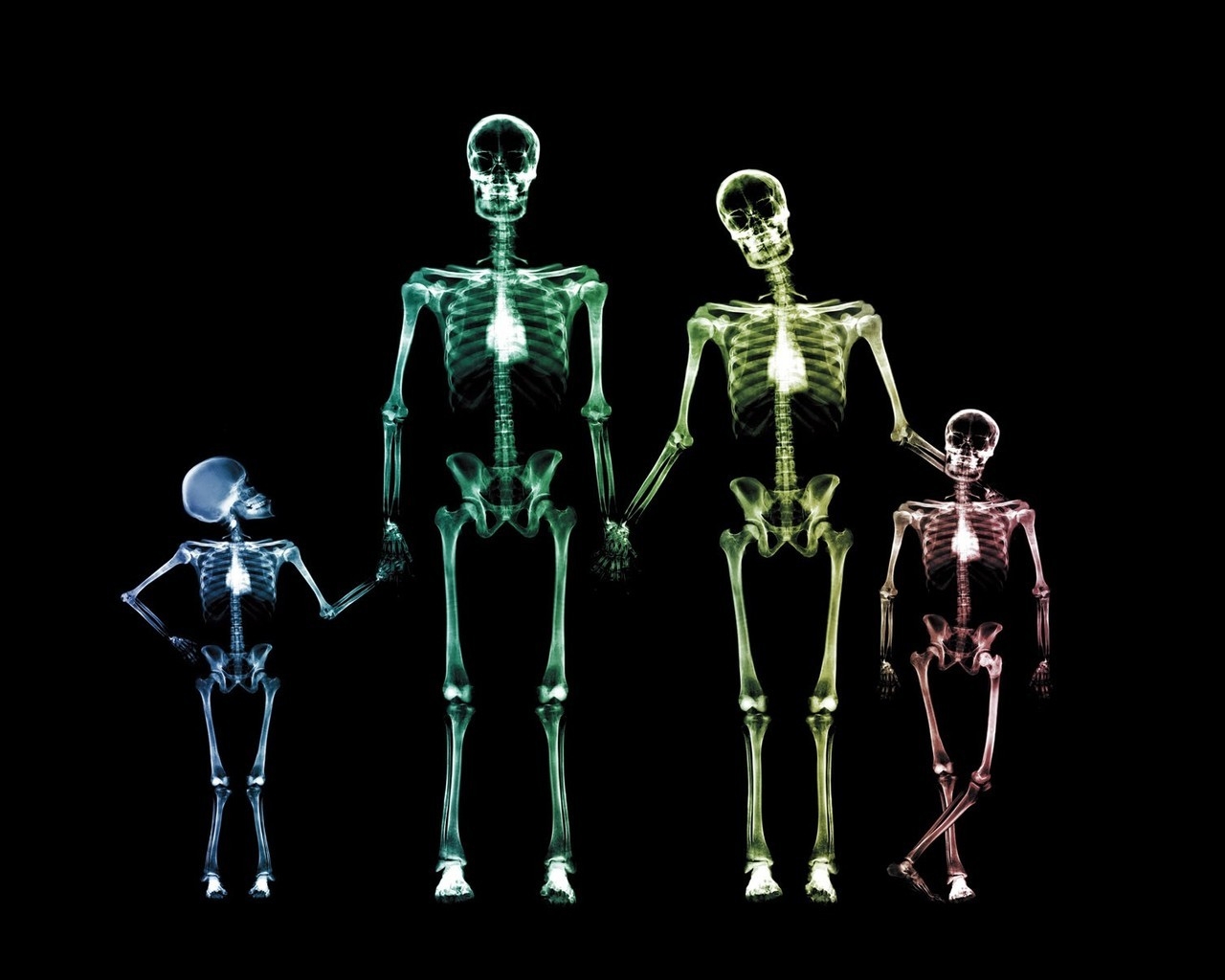 Family Skeletons for 1280 x 1024 resolution