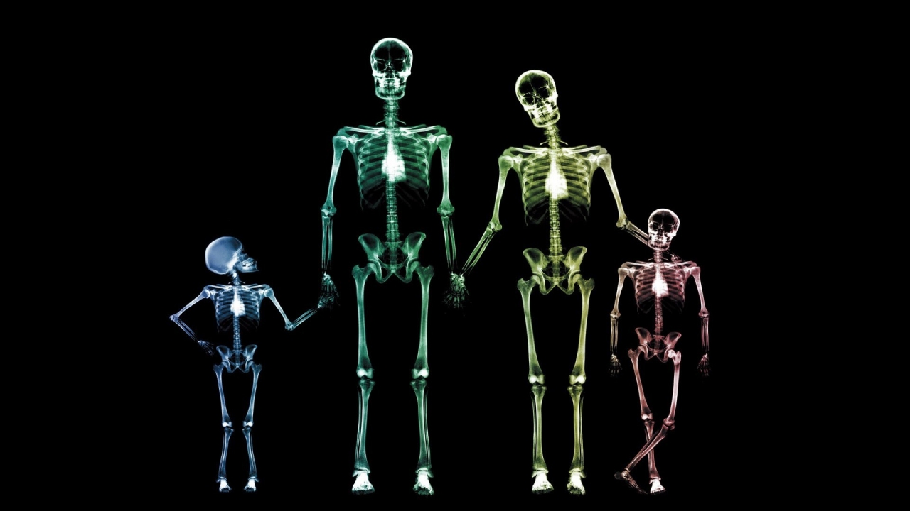 Family Skeletons for 1280 x 720 HDTV 720p resolution