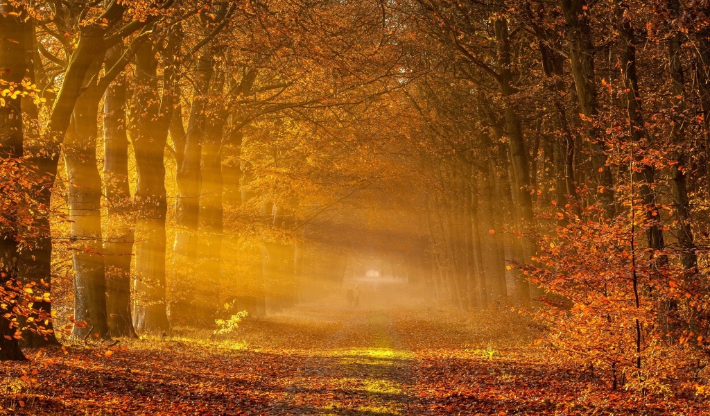 Fantastic Autumn Landscape for 1024 x 600 widescreen resolution