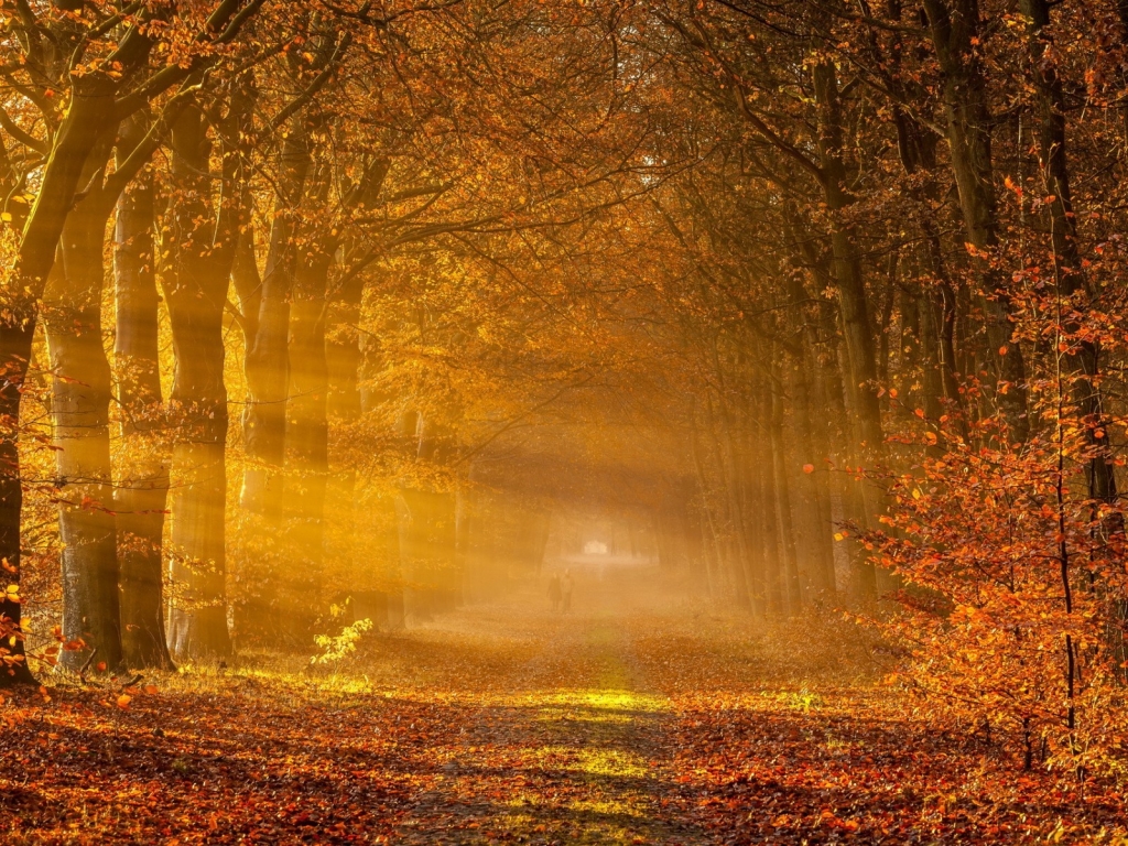 Fantastic Autumn Landscape for 1024 x 768 resolution