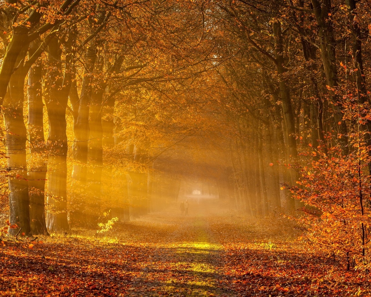 Fantastic Autumn Landscape for 1280 x 1024 resolution