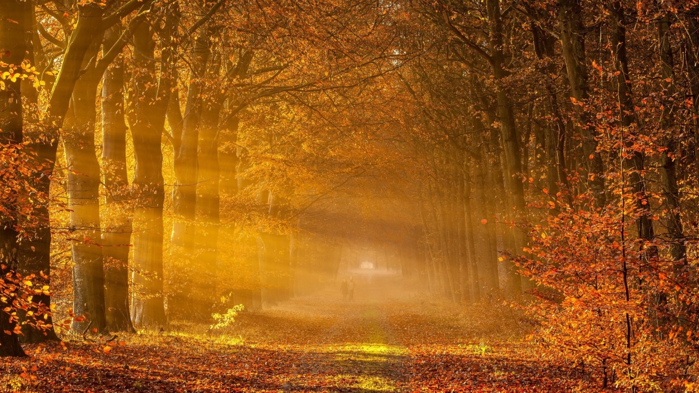 Fantastic Autumn Landscape for 1366 x 768 HDTV resolution