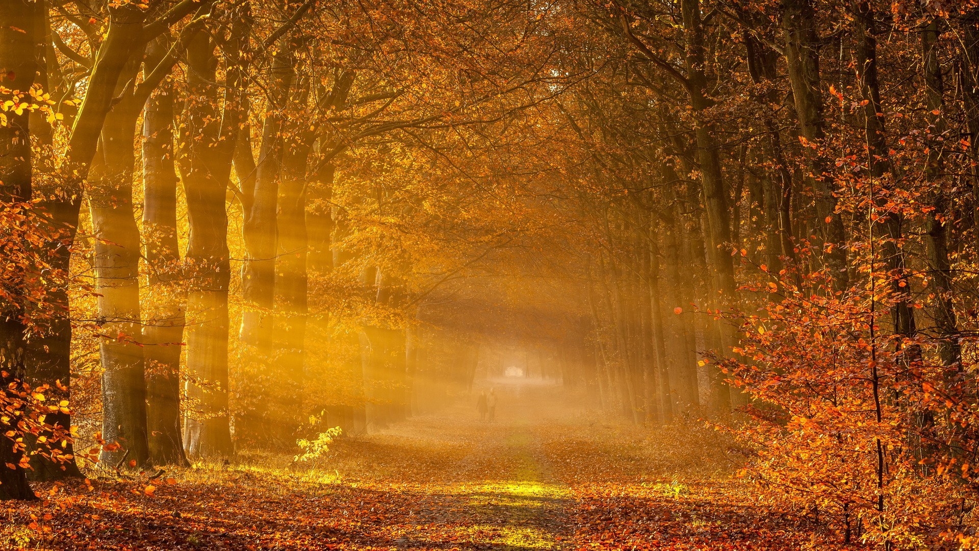 Fantastic Autumn Landscape for 1920 x 1080 HDTV 1080p resolution