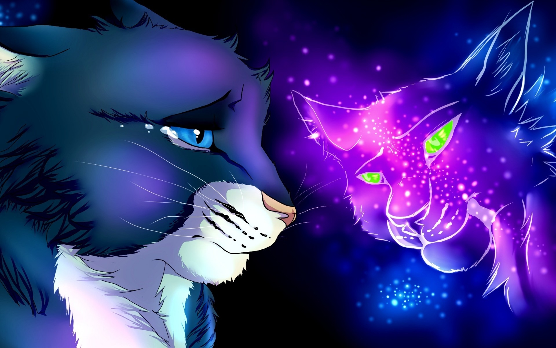 Warrior Cats Wallpapers Bluestar - Wallpaper Cave